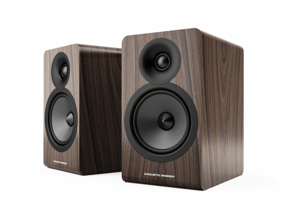 Enceinte Acoustic Energy AE100²