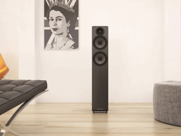 Enceinte Acoustic Energy AE109²