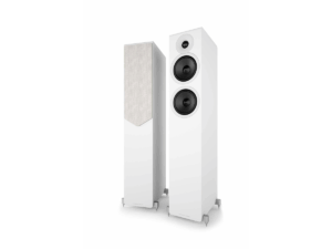 Enceinte Acoustric Energy AE309