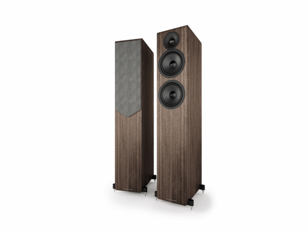 ACOUSTIC-ENERGY_AE-309²-2 Enceinte Acoustric Energy AE309