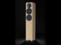 Enceinte Atohm Sirocco 2.24